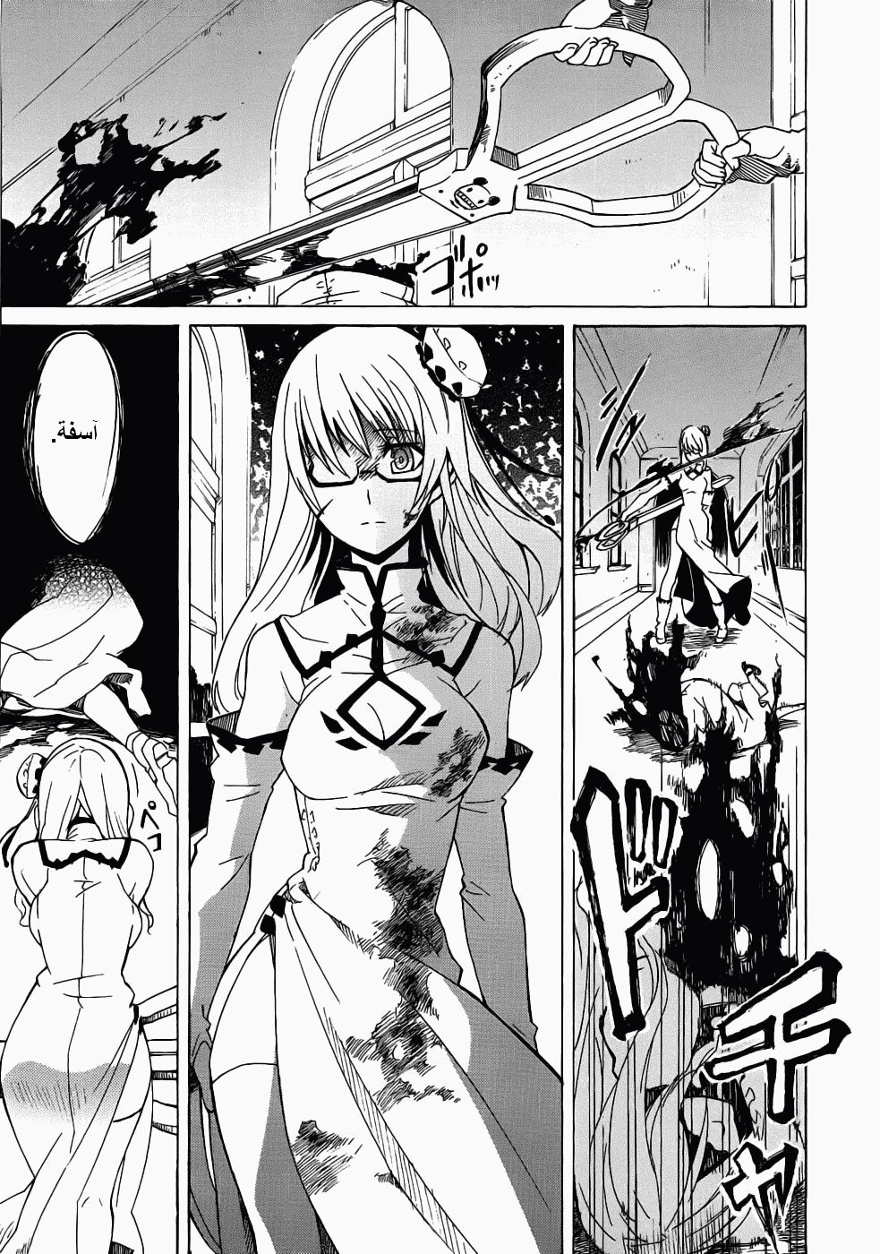 Read Akame ga Kill AR Manga Online