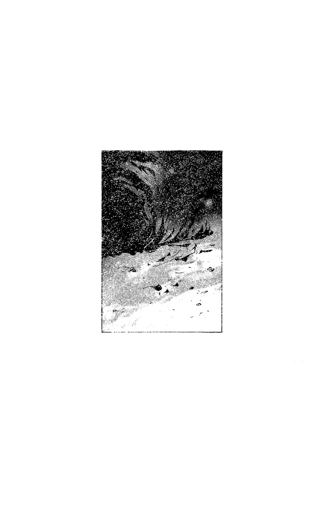 Read 7 Seeds EN Manga Online