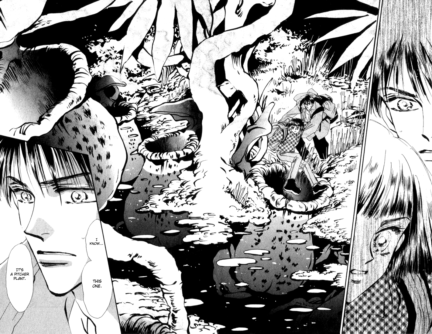 Read 7 Seeds EN Manga Online