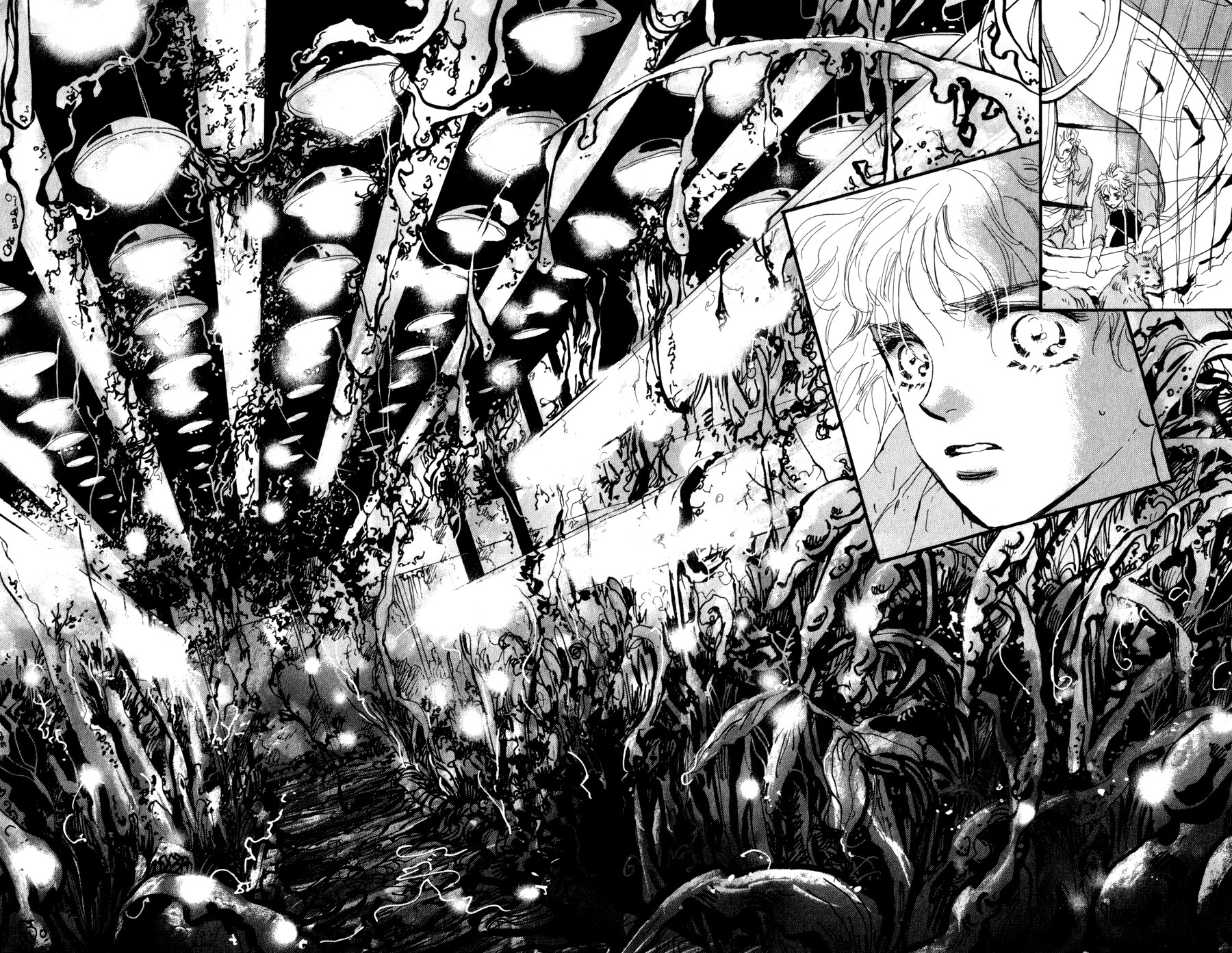 Read 7 Seeds EN Manga Online