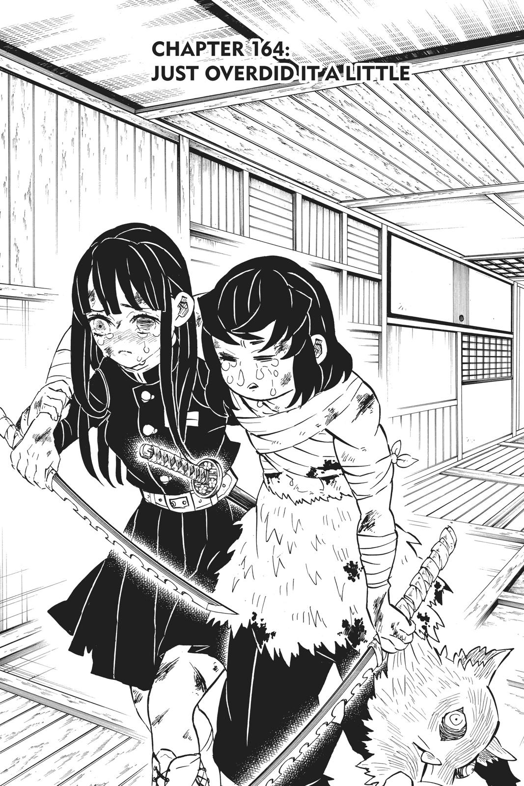 Read Demon Slayer_ Kimetsu no Yaiba EN Manga Online