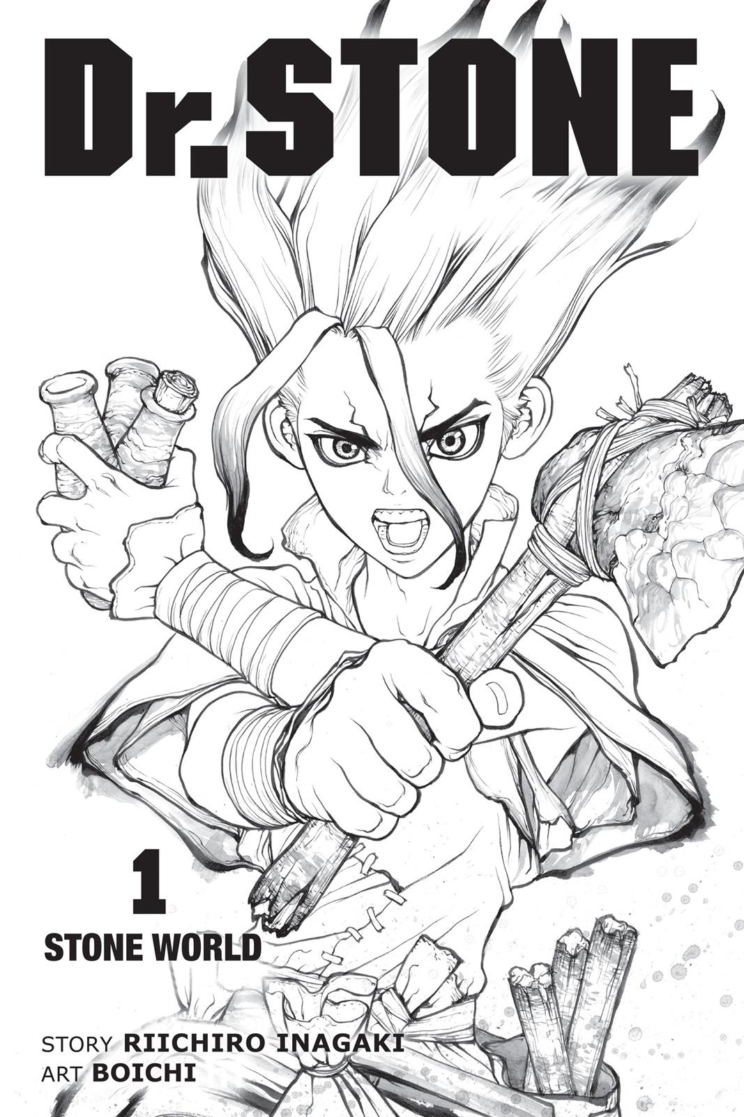 Read Dr. STONE EN Manga Online