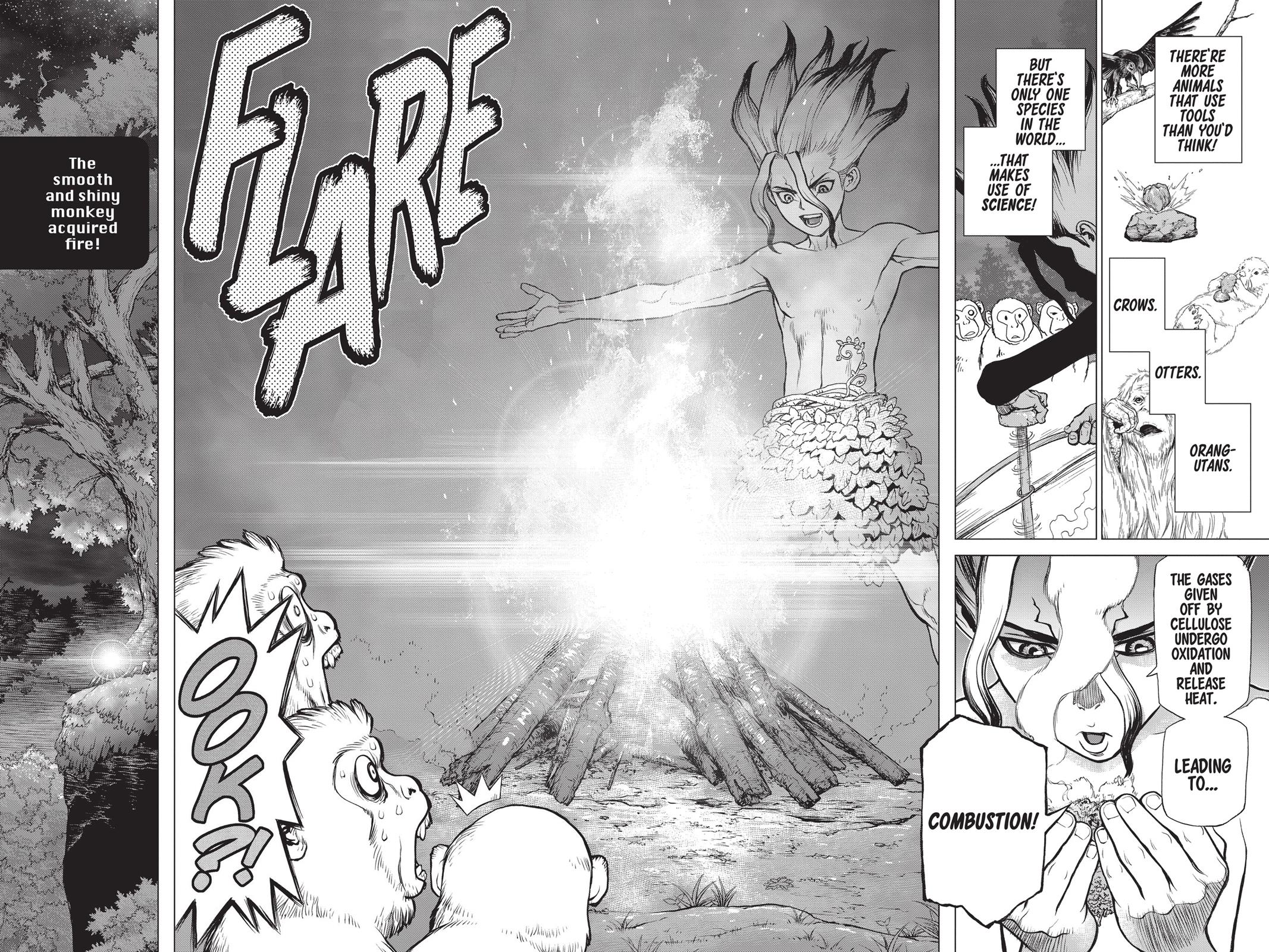 Read Dr. STONE EN Manga Online