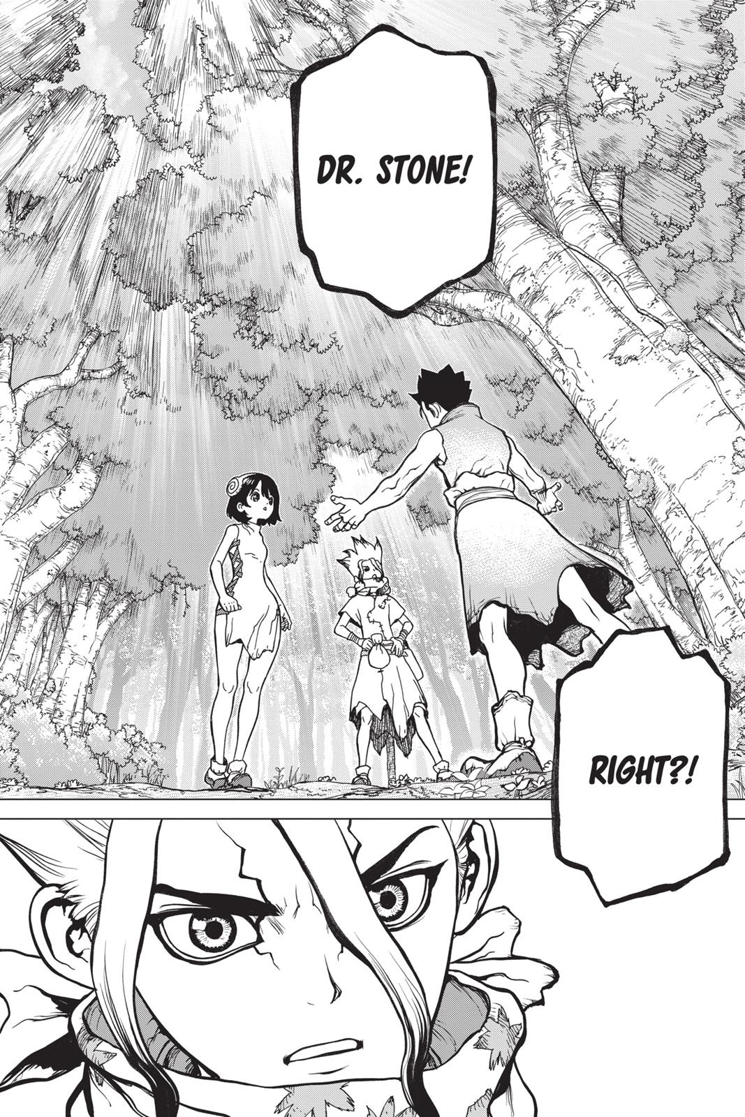Read Dr. STONE EN Manga Online