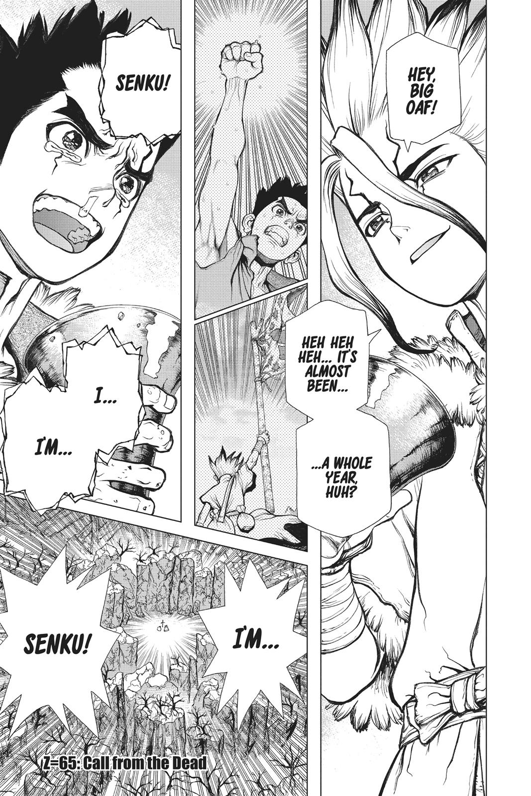 Read Dr. STONE EN Manga Online