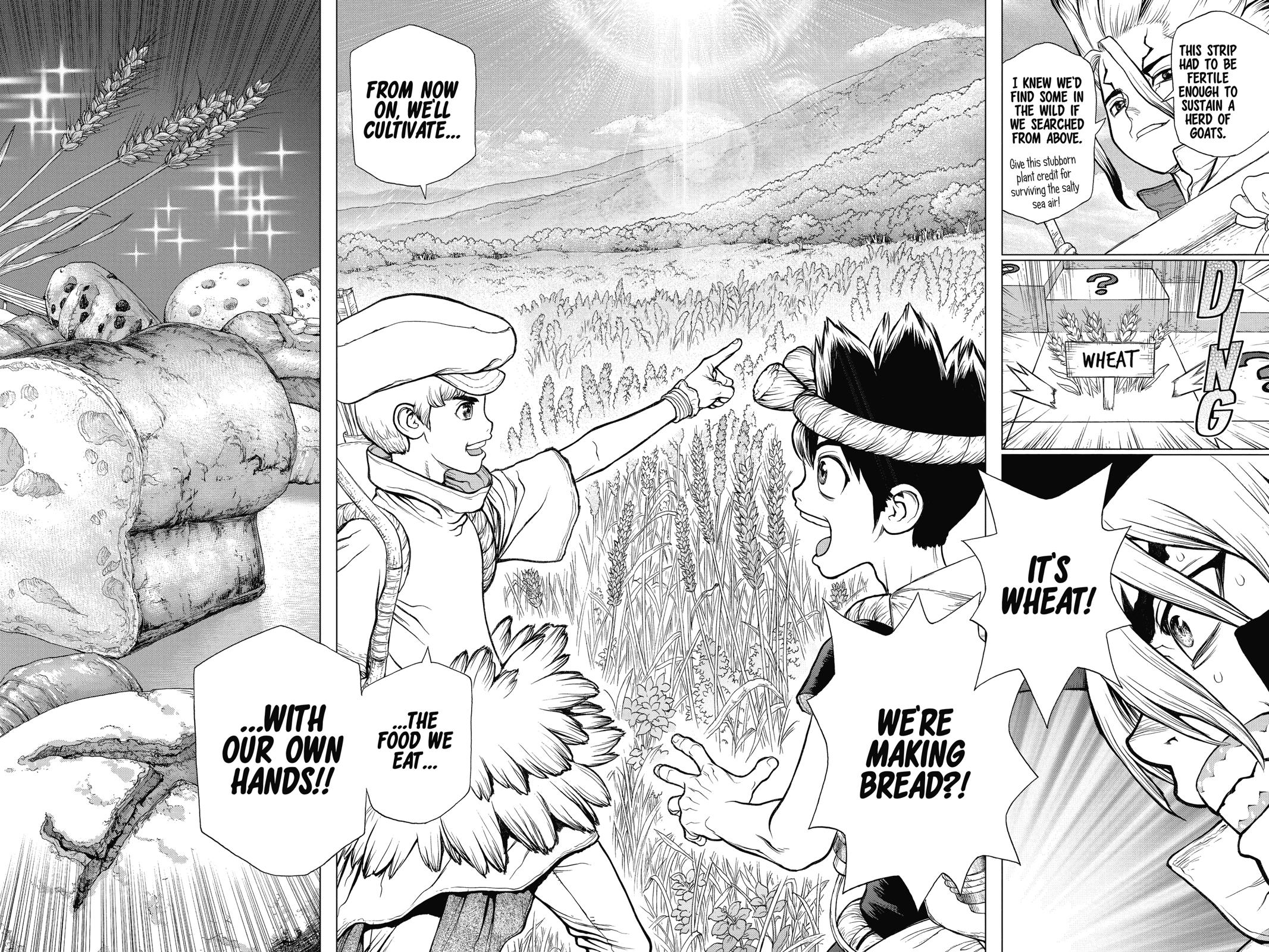 Read Dr. STONE EN Manga Online