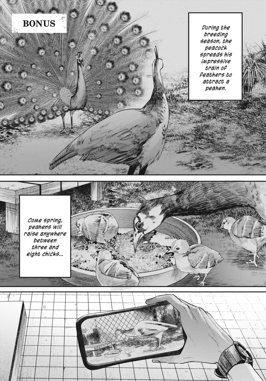 Read Hikaru ga Shinda Natsu EN Manga Online