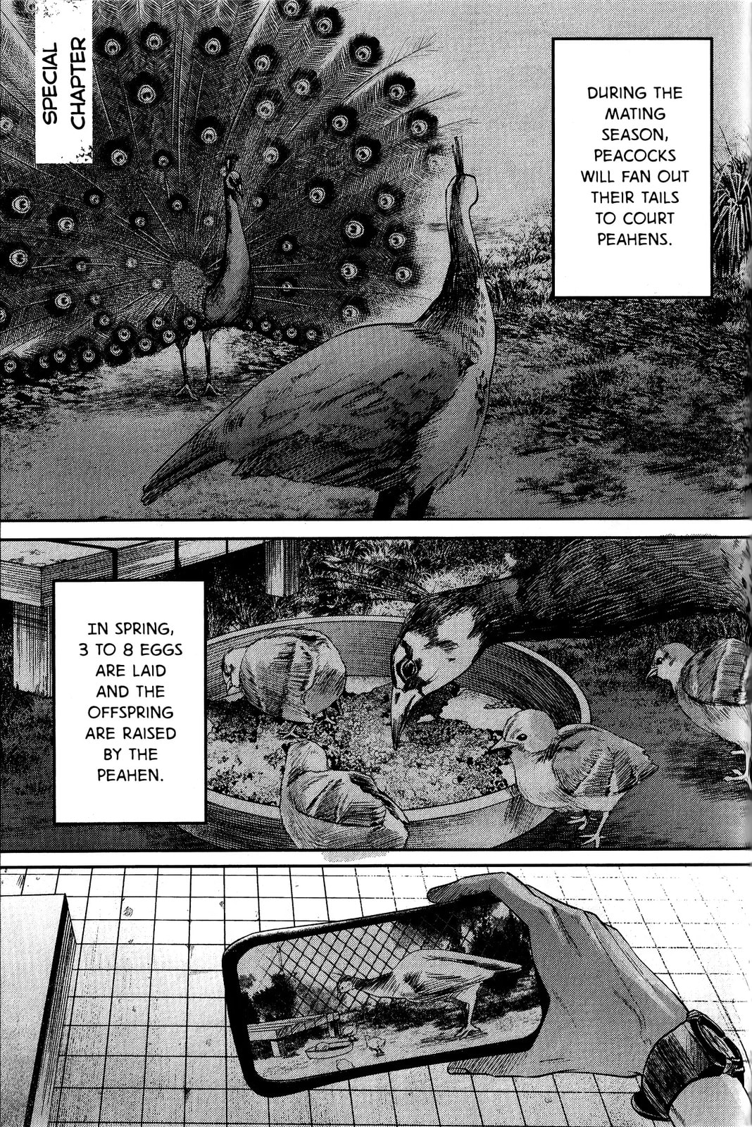 Read Hikaru ga Shinda Natsu EN Manga Online