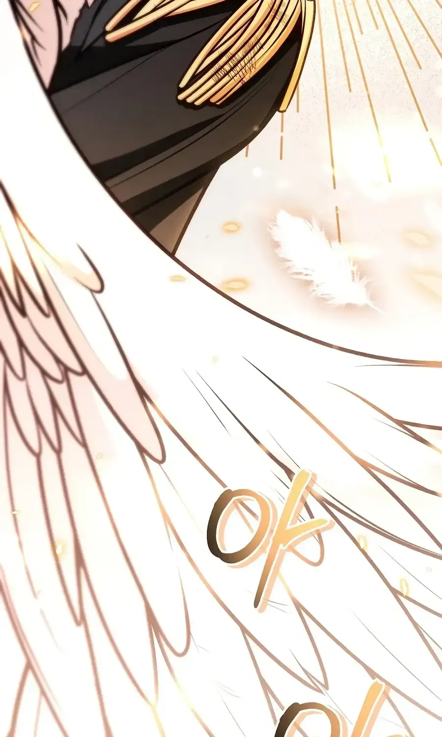 Read Regressor Instruction Manual EN Manga Online