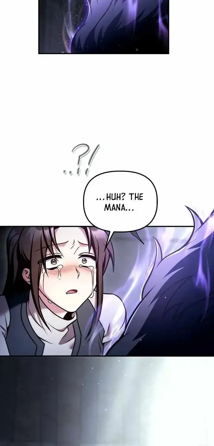 Read Regressor Instruction Manual EN Manga Online