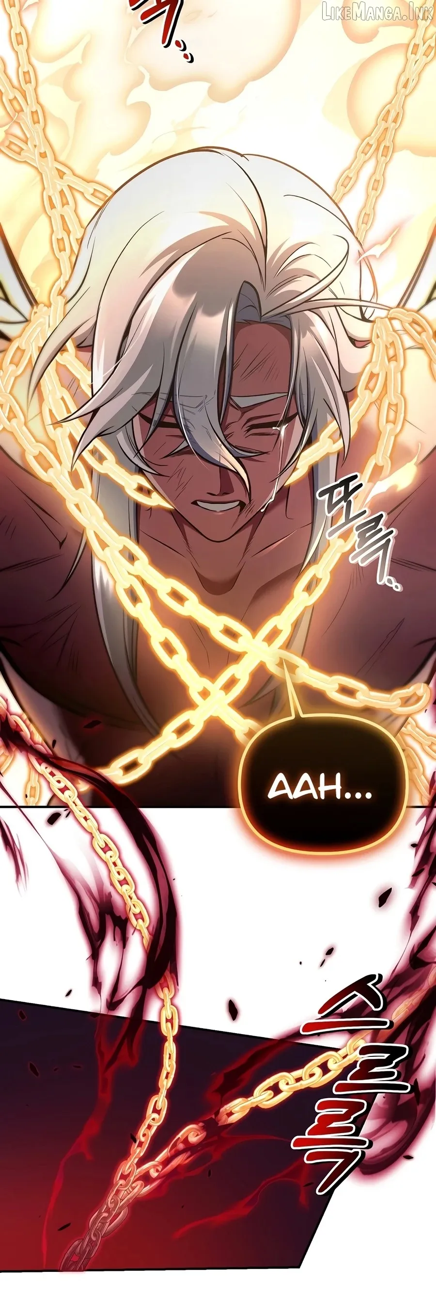 Read Regressor Instruction Manual EN Manga Online