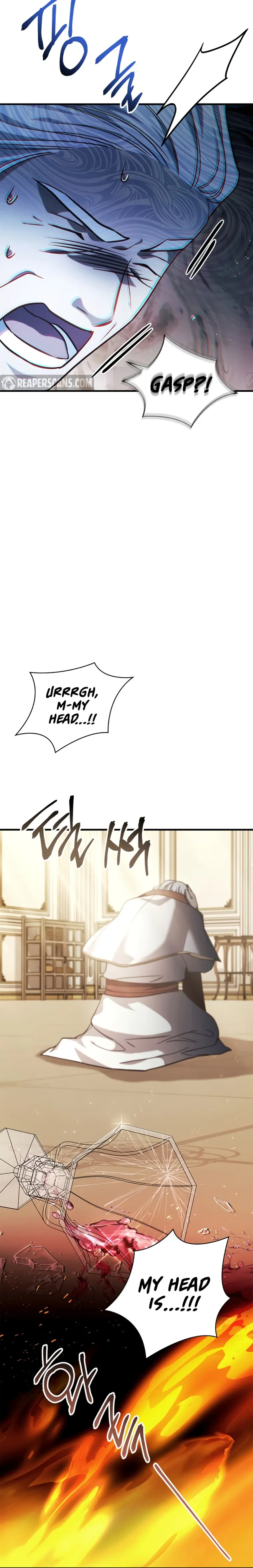 Read Regressor Instruction Manual EN Manga Online