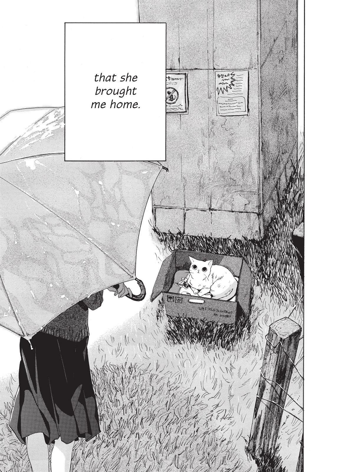Read She and Her Cat EN Manga Online