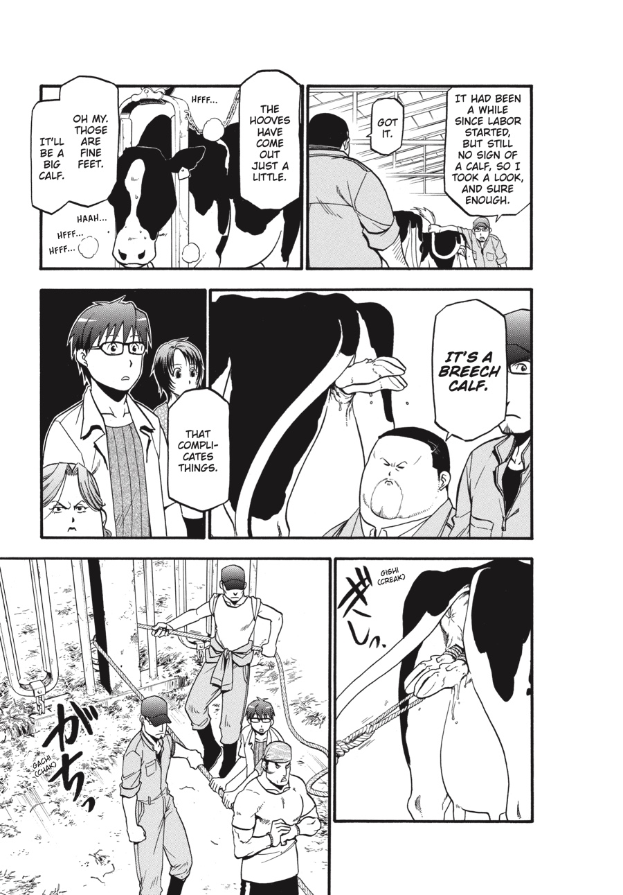 Read Silver Spoon EN Manga Online