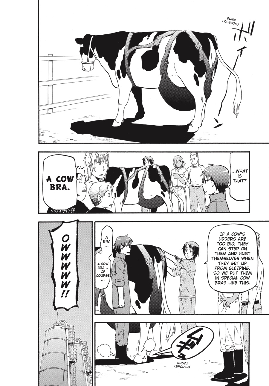 Read Silver Spoon EN Manga Online