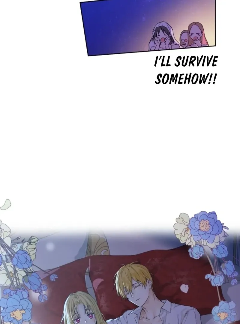 Read Who Made Me A Princess EN Manga Online
