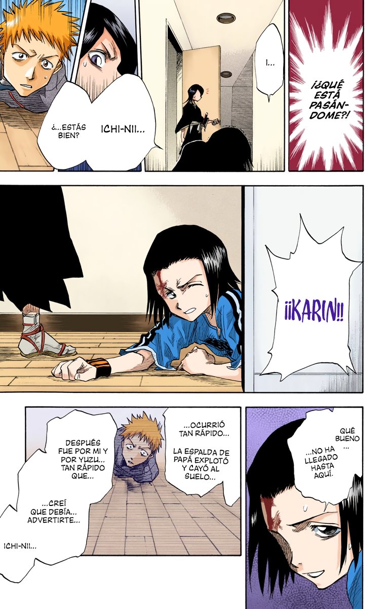 Read Bleach Full Color ES Manga Online