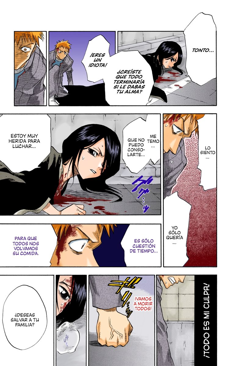 Read Bleach Full Color ES Manga Online