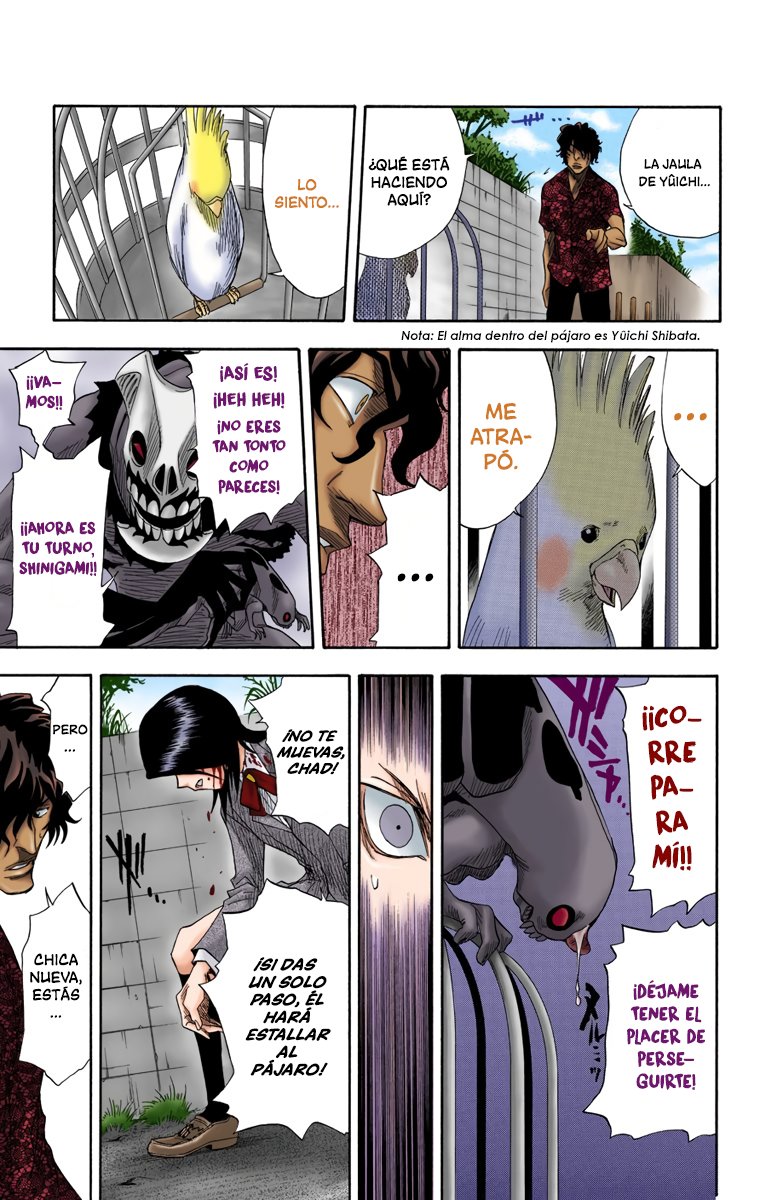 Read Bleach Full Color ES Manga Online