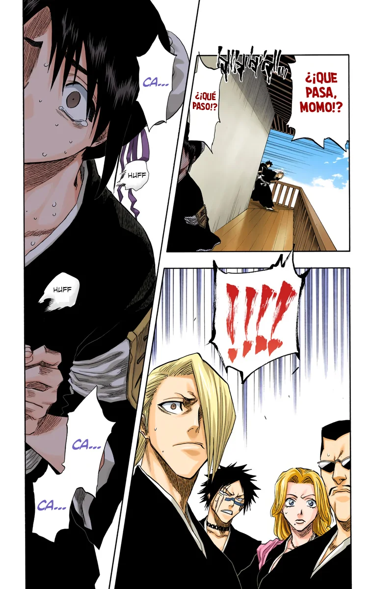 Read Bleach Full Color ES Manga Online