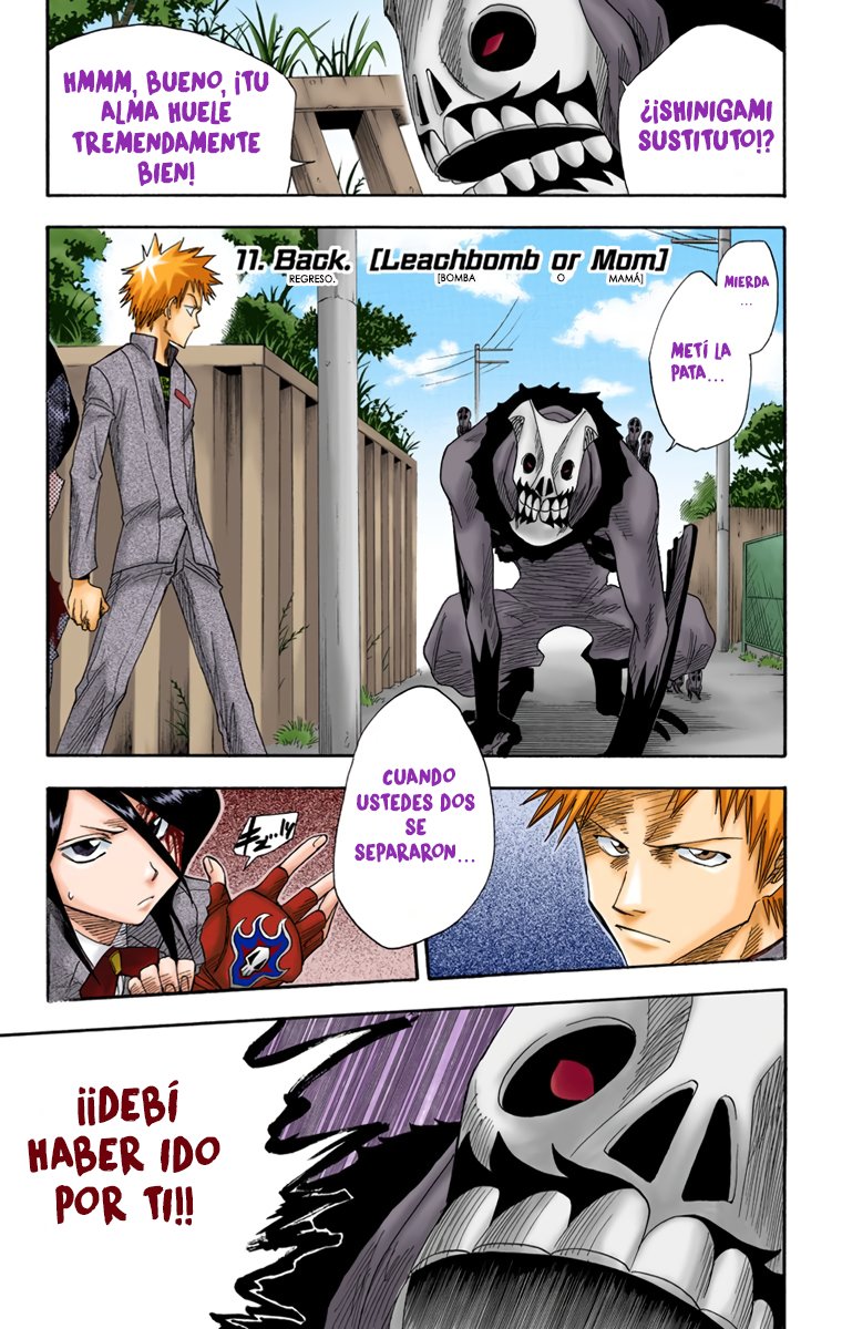Read Bleach Full Color ES Manga Online