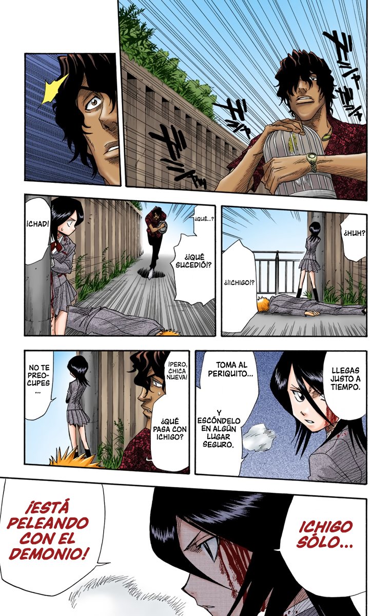 Read Bleach Full Color ES Manga Online