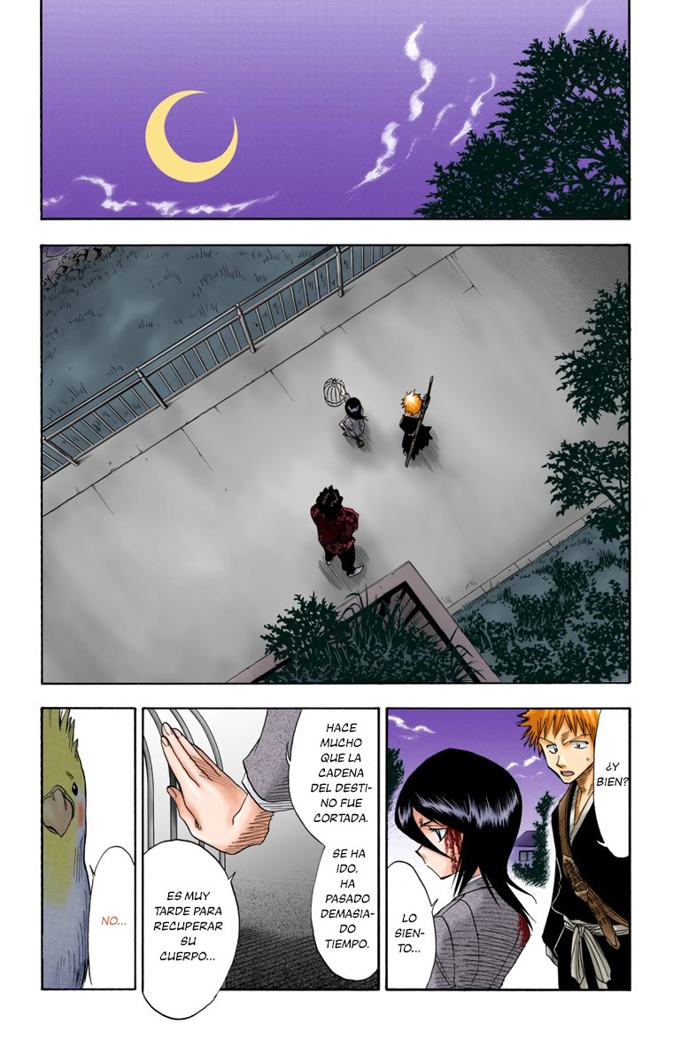 Read Bleach Full Color ES Manga Online