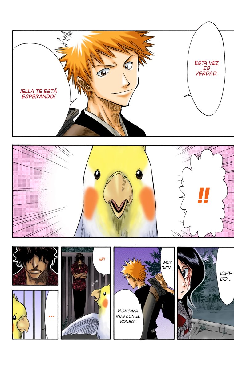 Read Bleach Full Color ES Manga Online