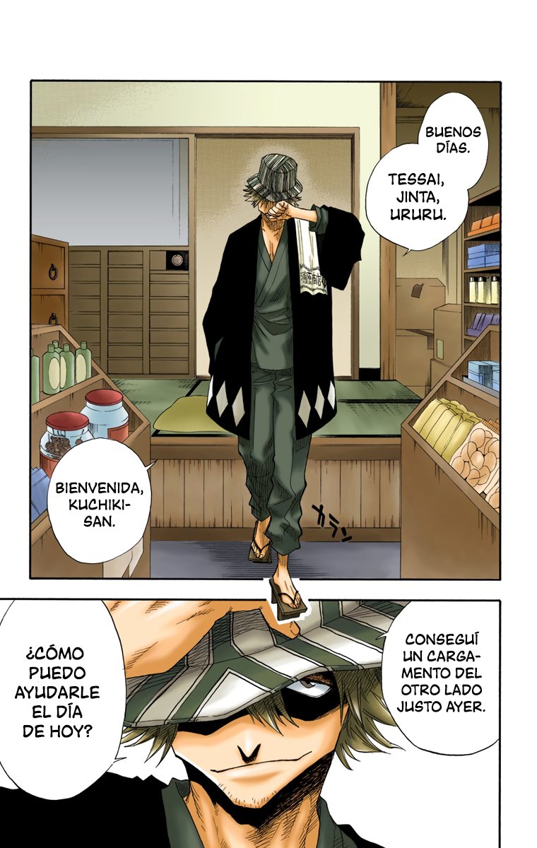 Read Bleach Full Color ES Manga Online