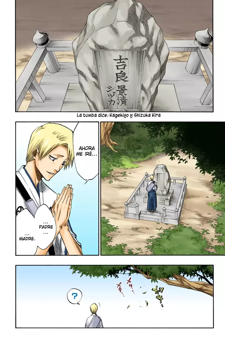 Read Bleach Full Color ES Manga Online