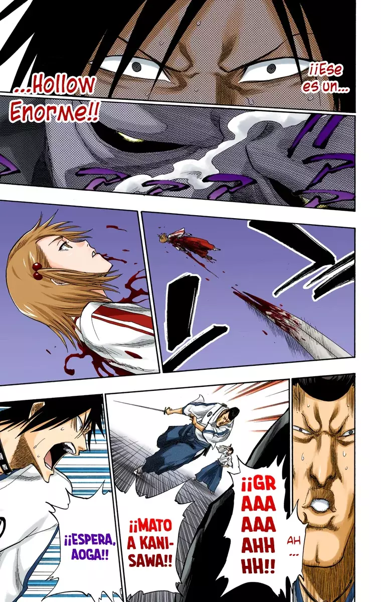 Read Bleach Full Color ES Manga Online