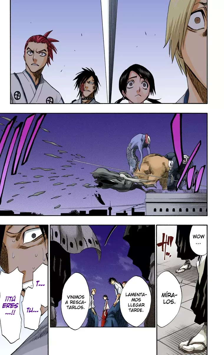 Read Bleach Full Color ES Manga Online