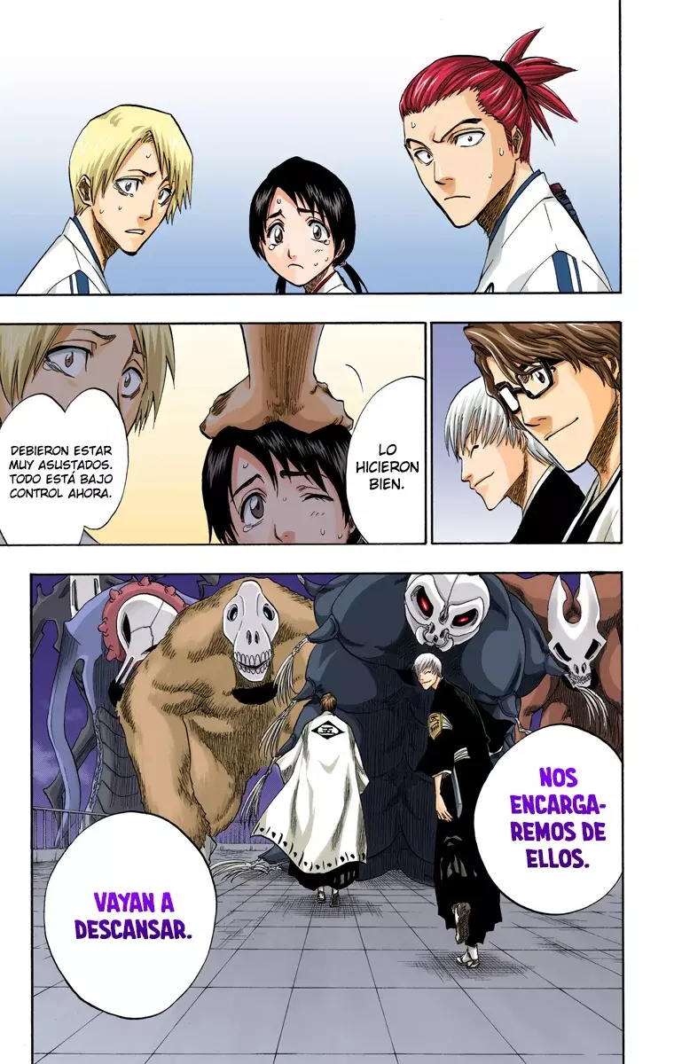 Read Bleach Full Color ES Manga Online