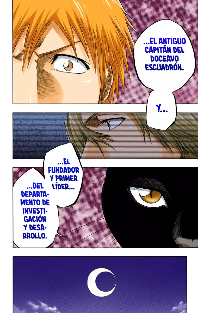 Read Bleach Full Color ES Manga Online