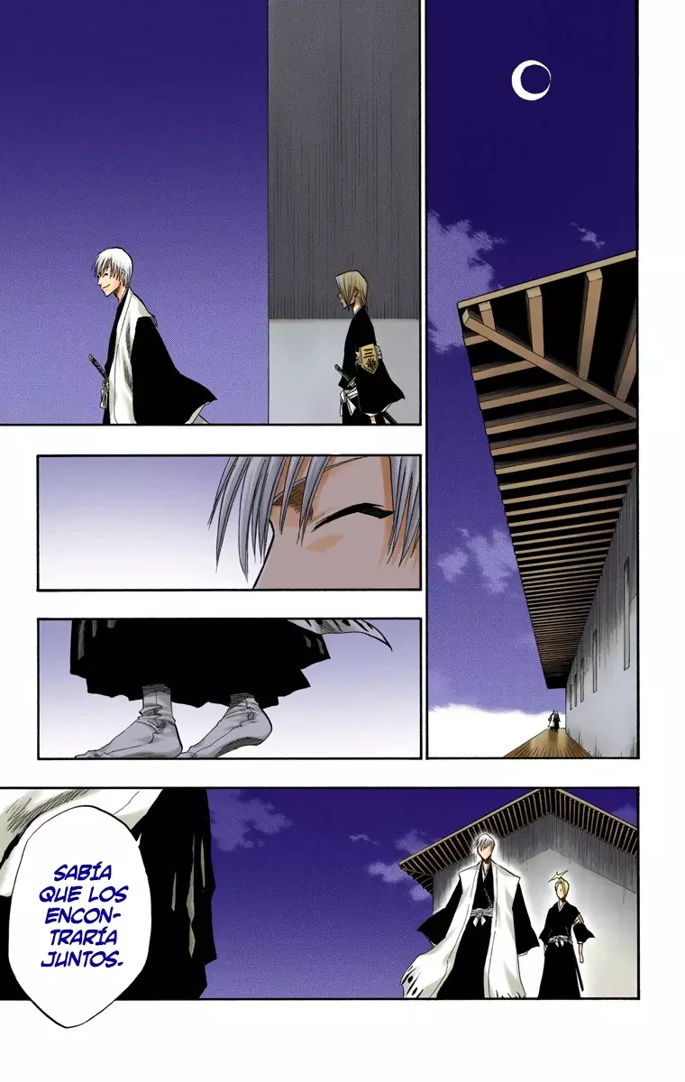 Read Bleach Full Color ES Manga Online