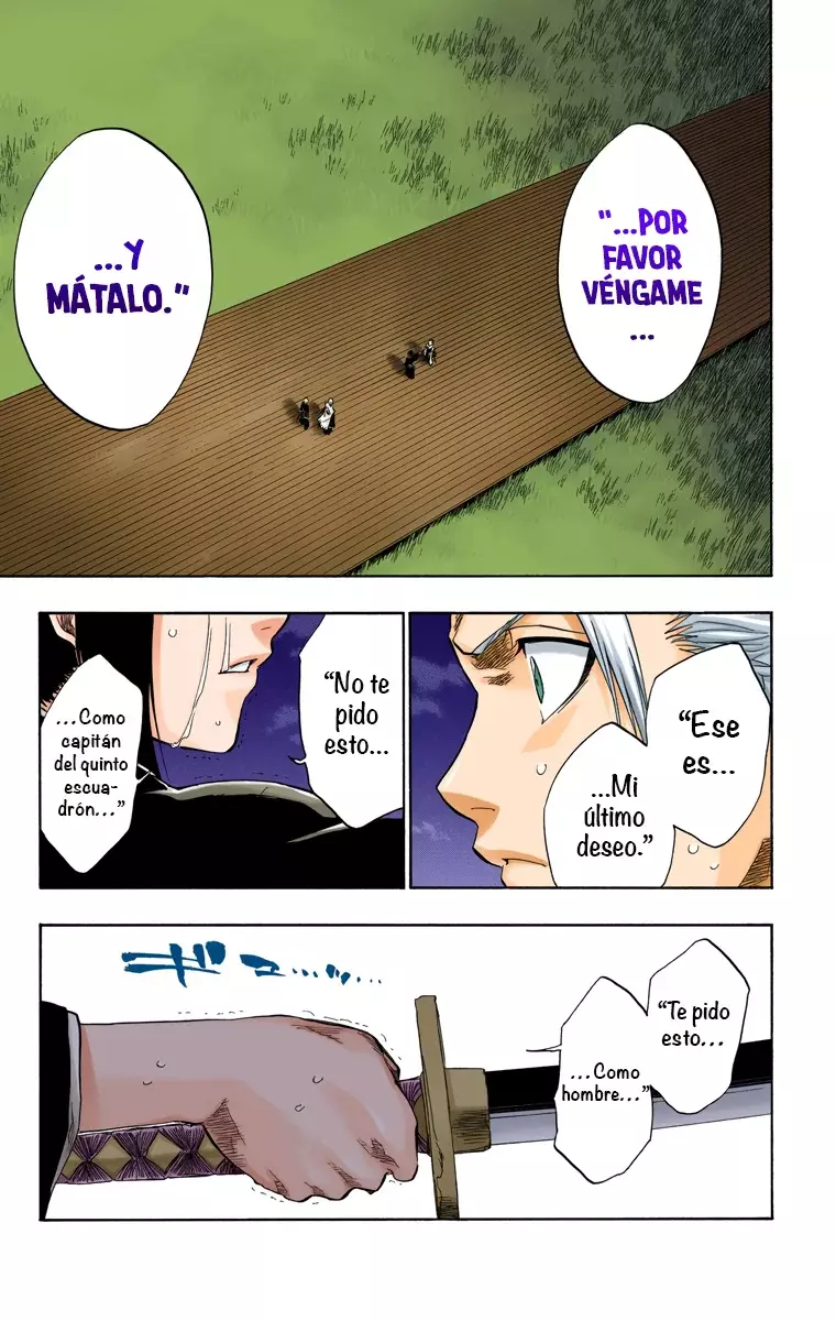 Read Bleach Full Color ES Manga Online
