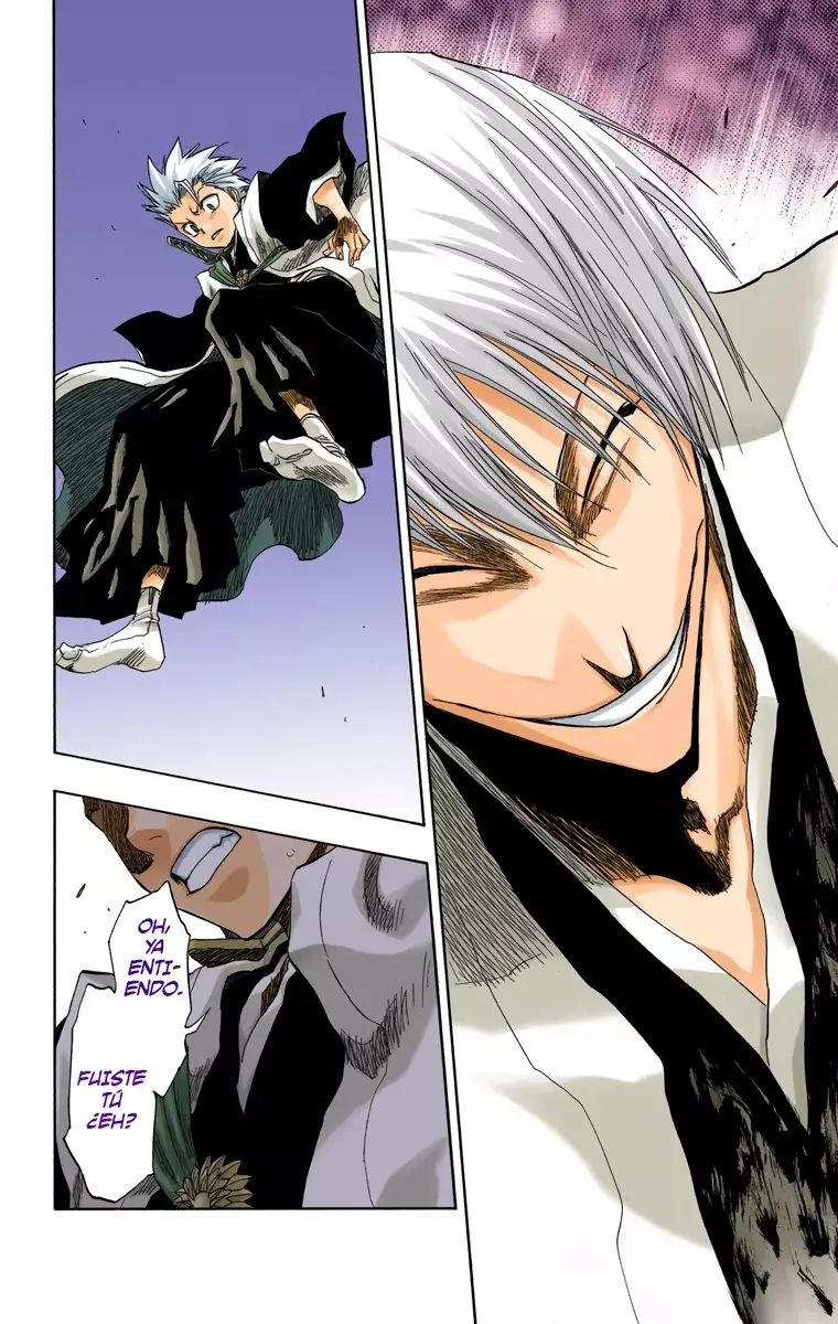 Read Bleach Full Color ES Manga Online