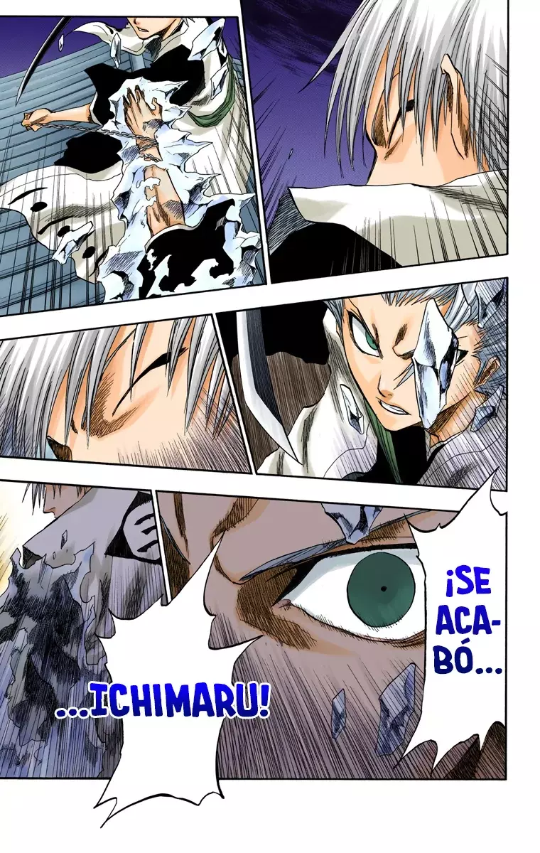 Read Bleach Full Color ES Manga Online
