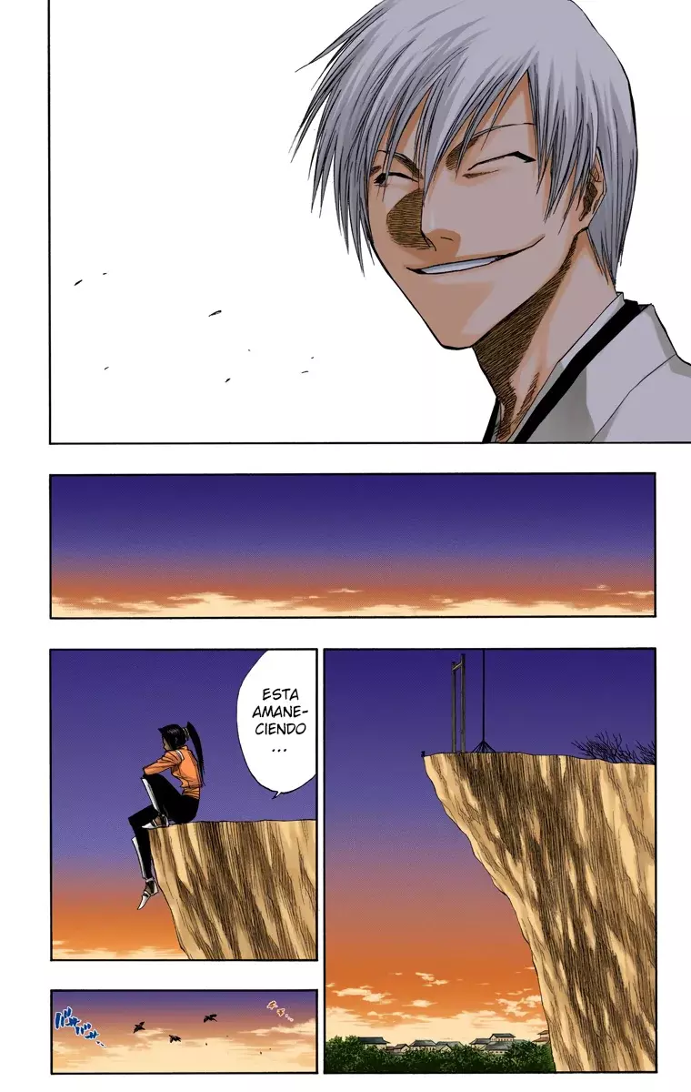 Read Bleach Full Color ES Manga Online