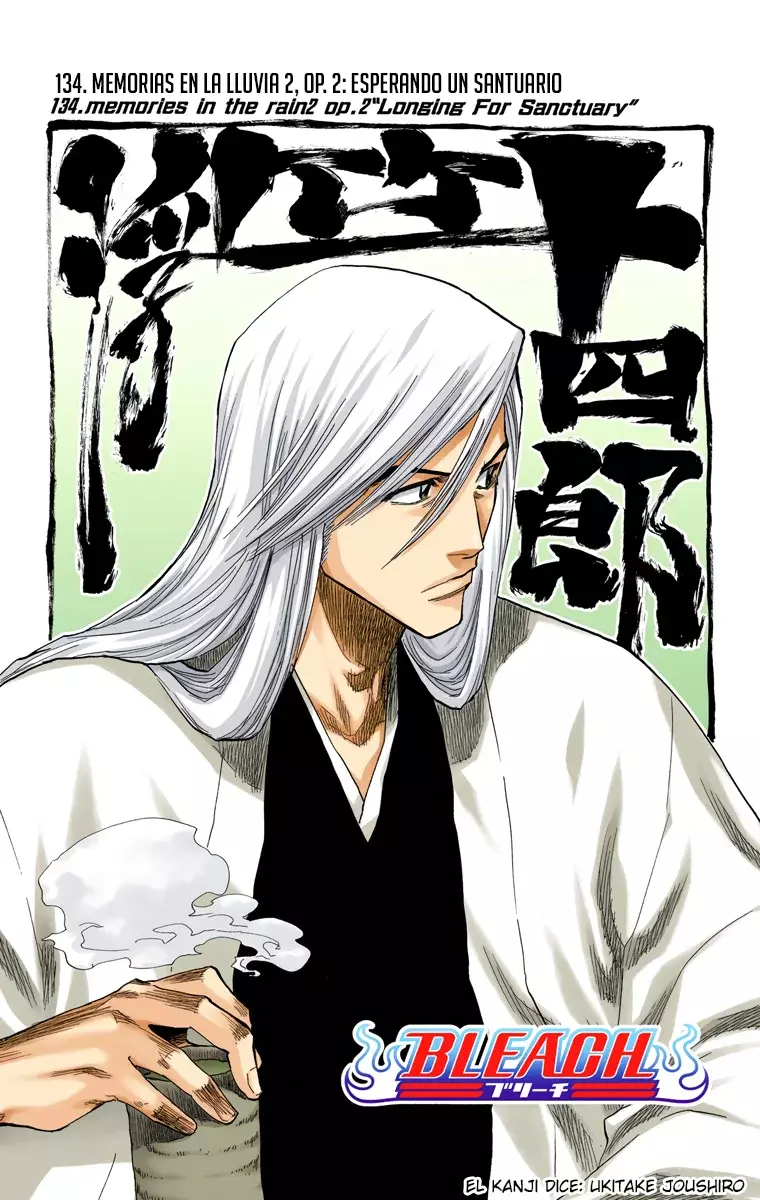 Read Bleach Full Color ES Manga Online