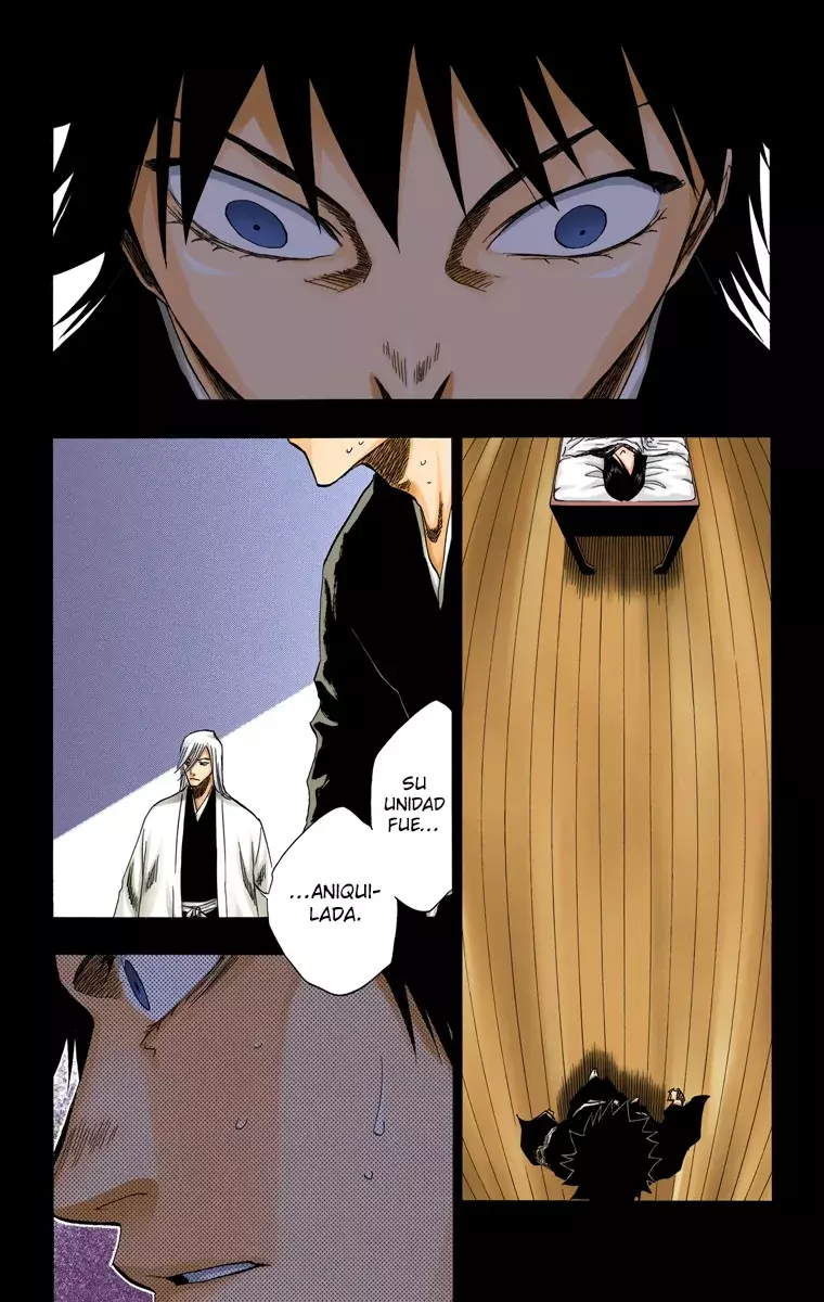 Read Bleach Full Color ES Manga Online