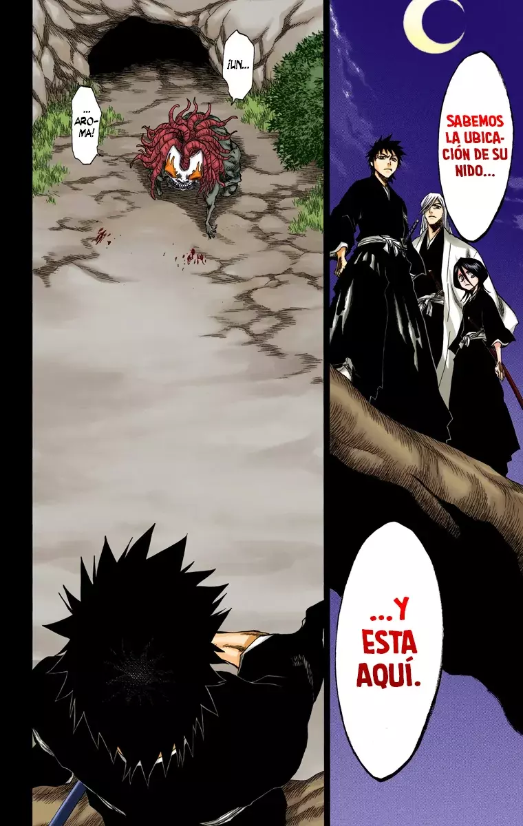 Read Bleach Full Color ES Manga Online