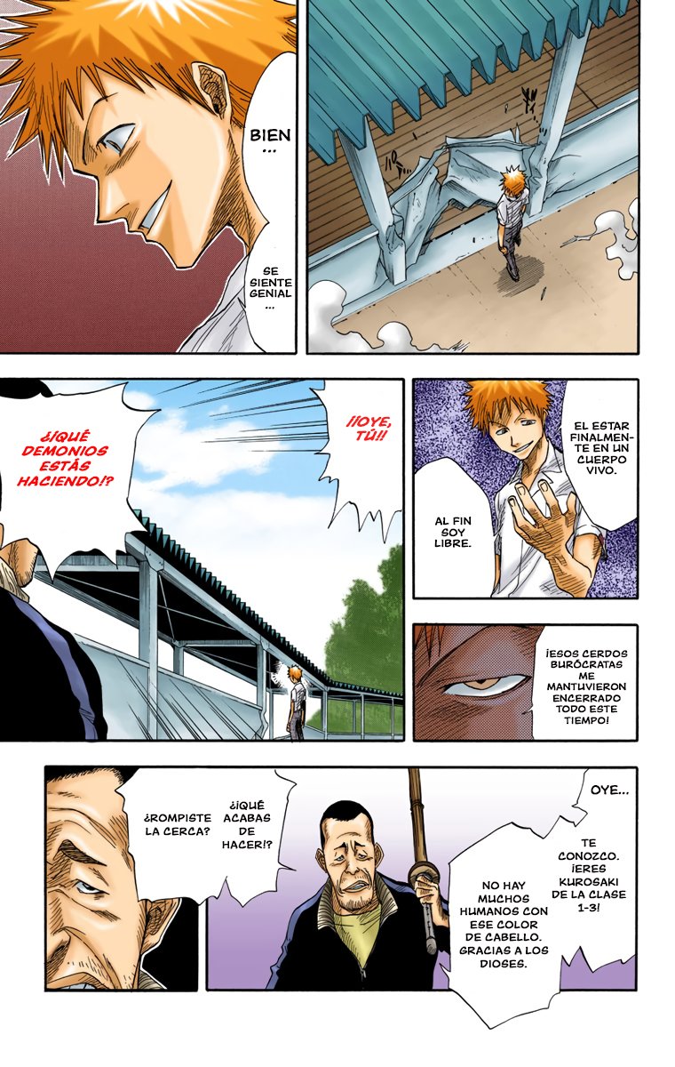 Read Bleach Full Color ES Manga Online