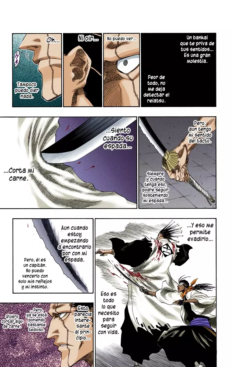 Read Bleach Full Color ES Manga Online