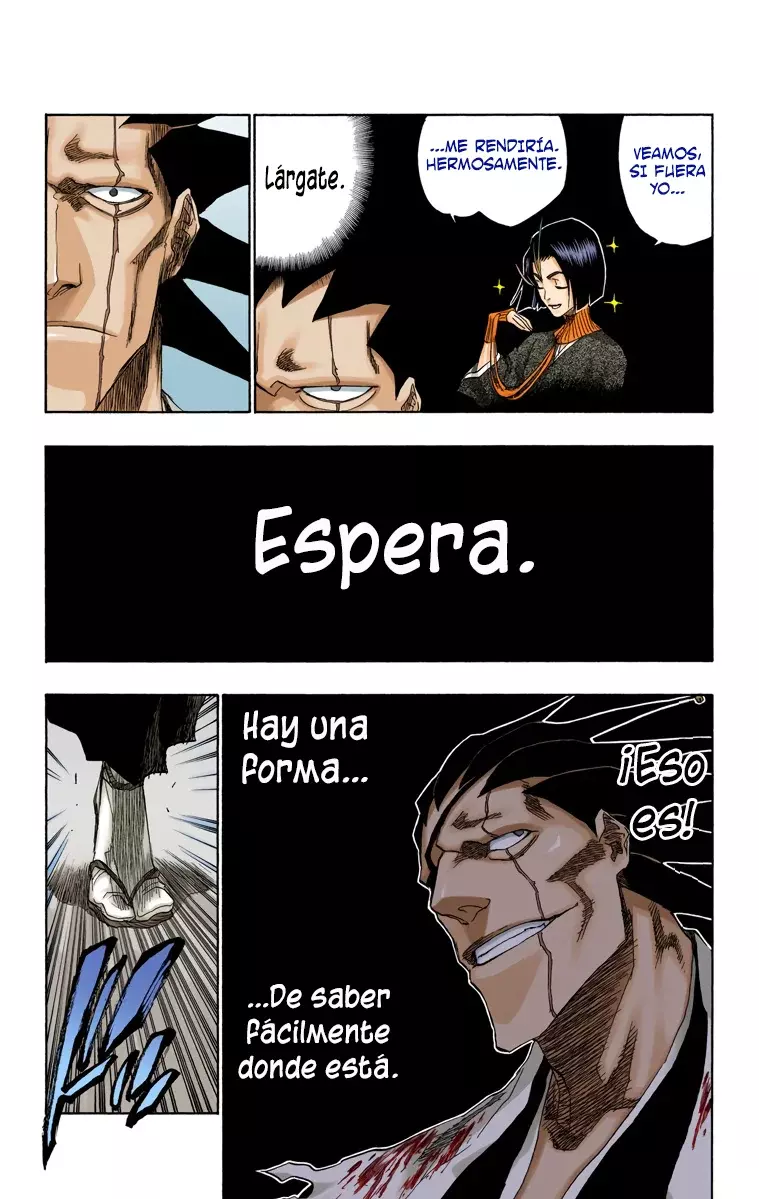 Read Bleach Full Color ES Manga Online