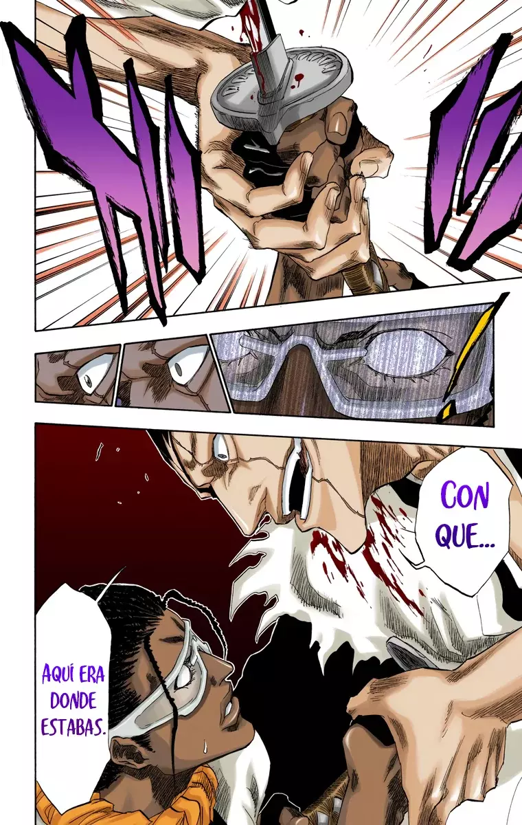 Read Bleach Full Color ES Manga Online
