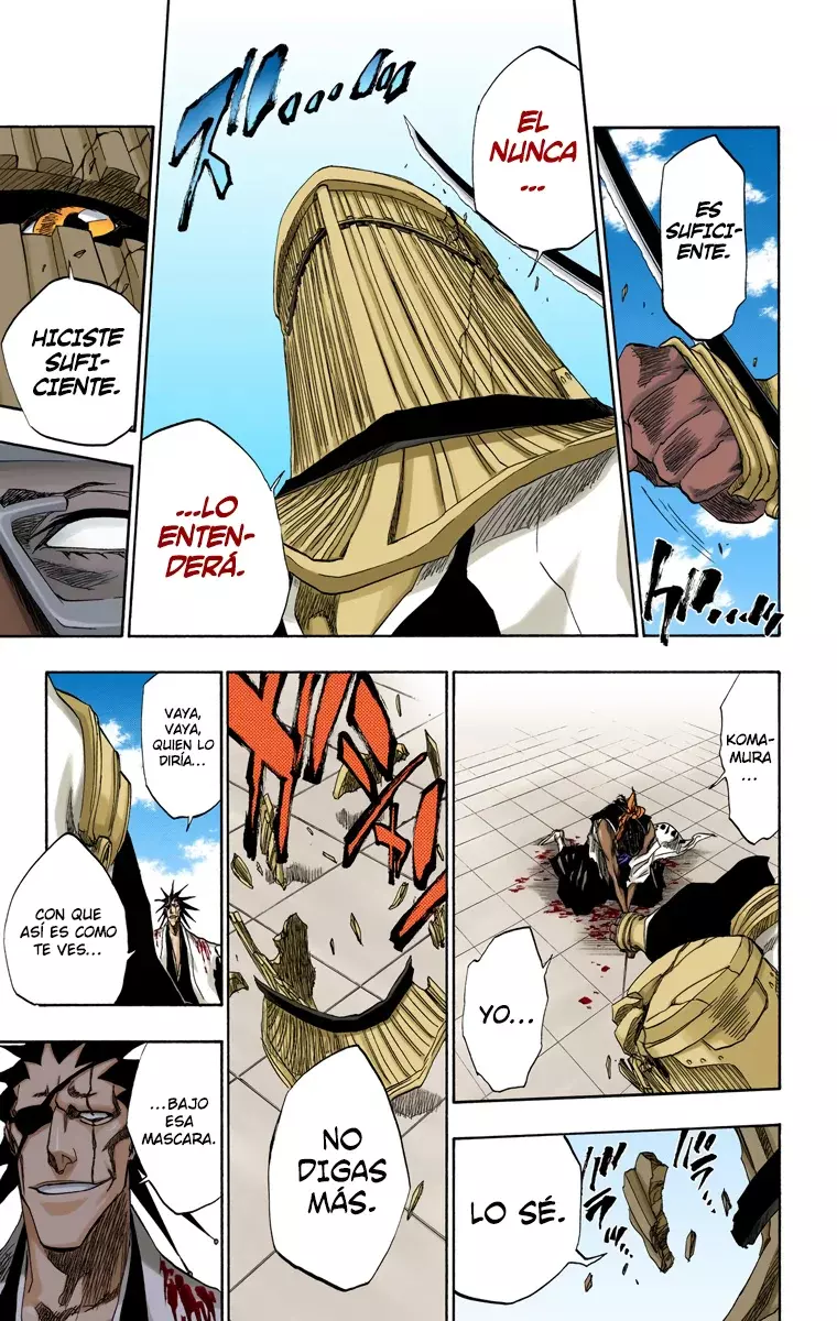 Read Bleach Full Color ES Manga Online