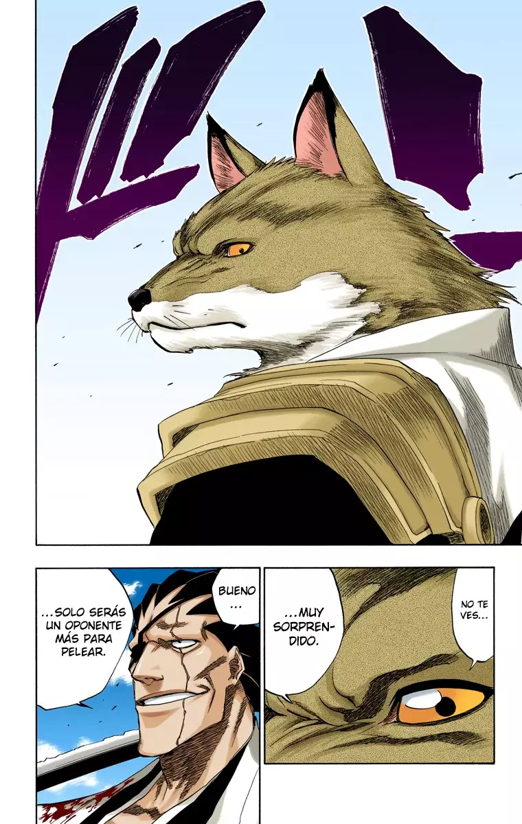 Read Bleach Full Color ES Manga Online