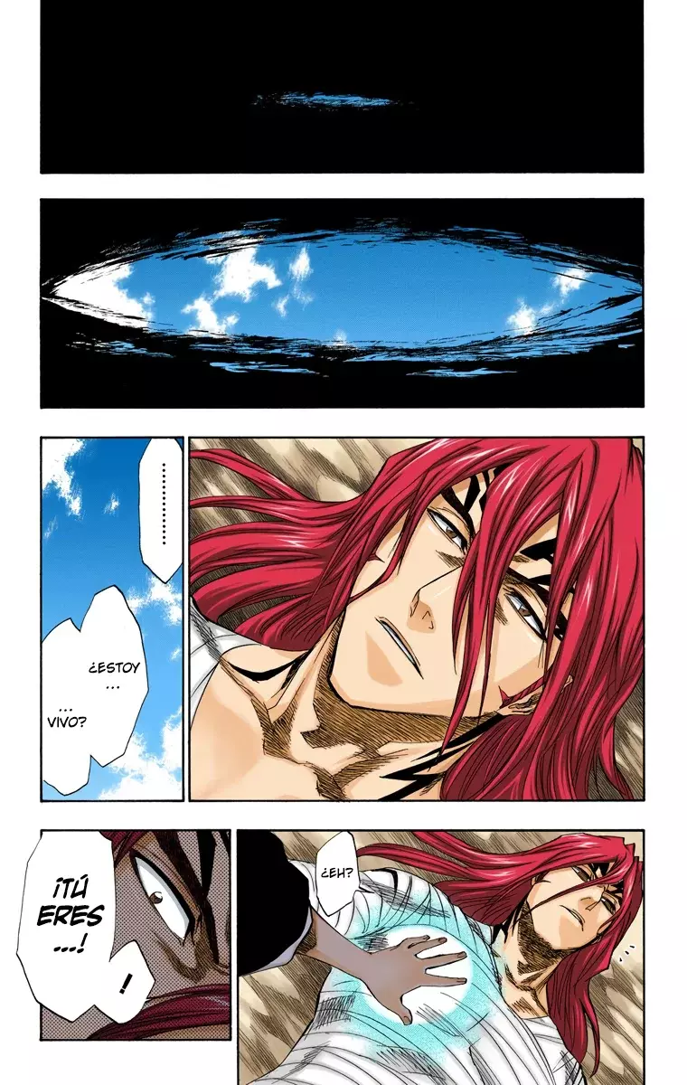 Read Bleach Full Color ES Manga Online