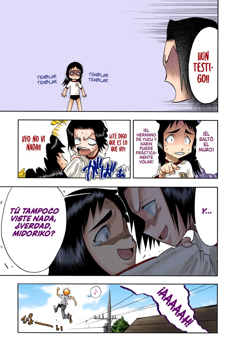 Read Bleach Full Color ES Manga Online